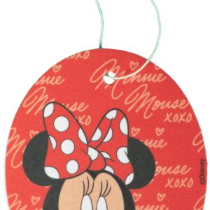 AMBIENTADOR MINNIE
