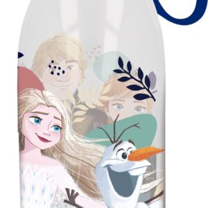 ADVENTURE BOTELLA ECOZEN PEQUEÑA 460 ML FROZEN