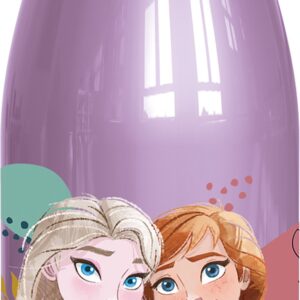 BOTELLA PP DIARIO 560ML FROZEN