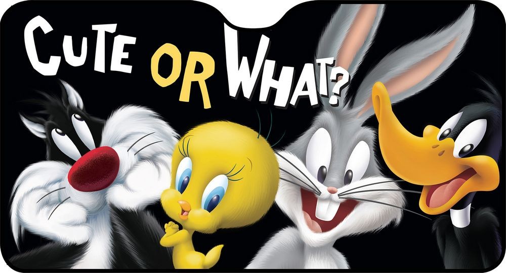 PARASOL DELANTERO LOONEY TUNES 130x70CM