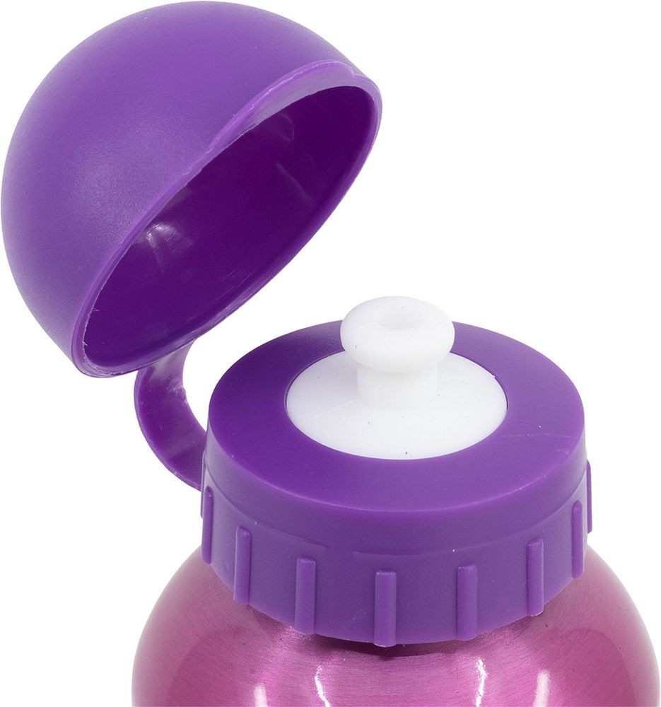 BOTELLA ALTA ALUMINIO 530ML PRINCESS - Imagen 2