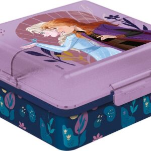 SANDWICHERA CUADRADA MULTICOMPARTIMENTOS FROZEN