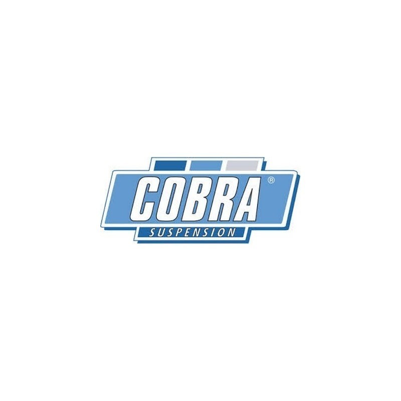 MUELLES DEPORTIVOS COBRA 01.4236 - Imagen 3