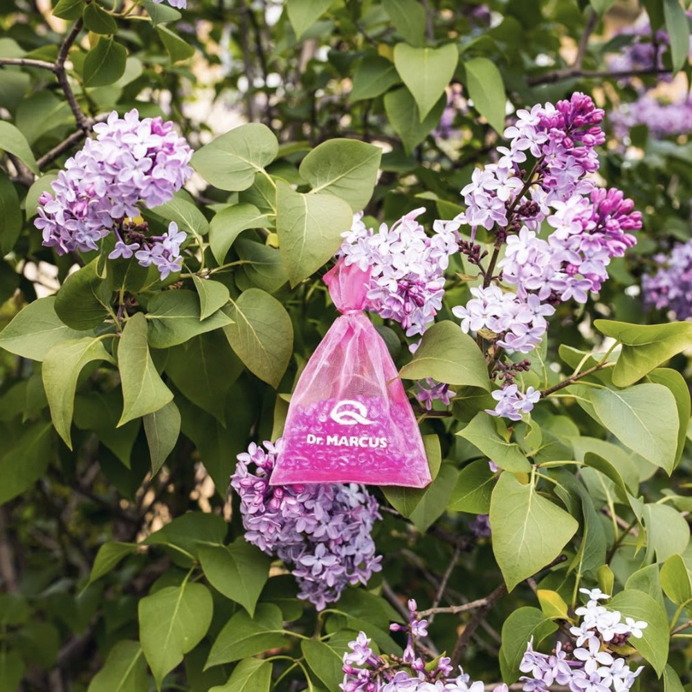 AMBIENTADOR DR. MARCUS FRESH BAG BUBBLE GUM - Imagen 5