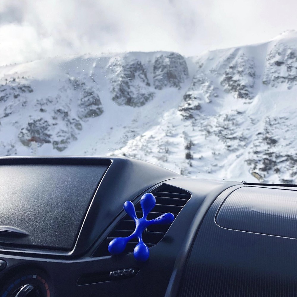 AMBIENTADOR DR. MARCUS LUCKY TOP NEW CAR - Imagen 5