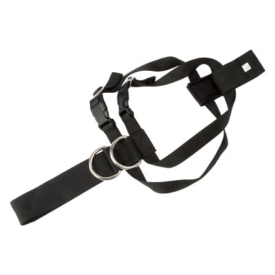 ARNES PARA PERRO TALLA L CS12 (STOCK LAST ) - Imagen 4